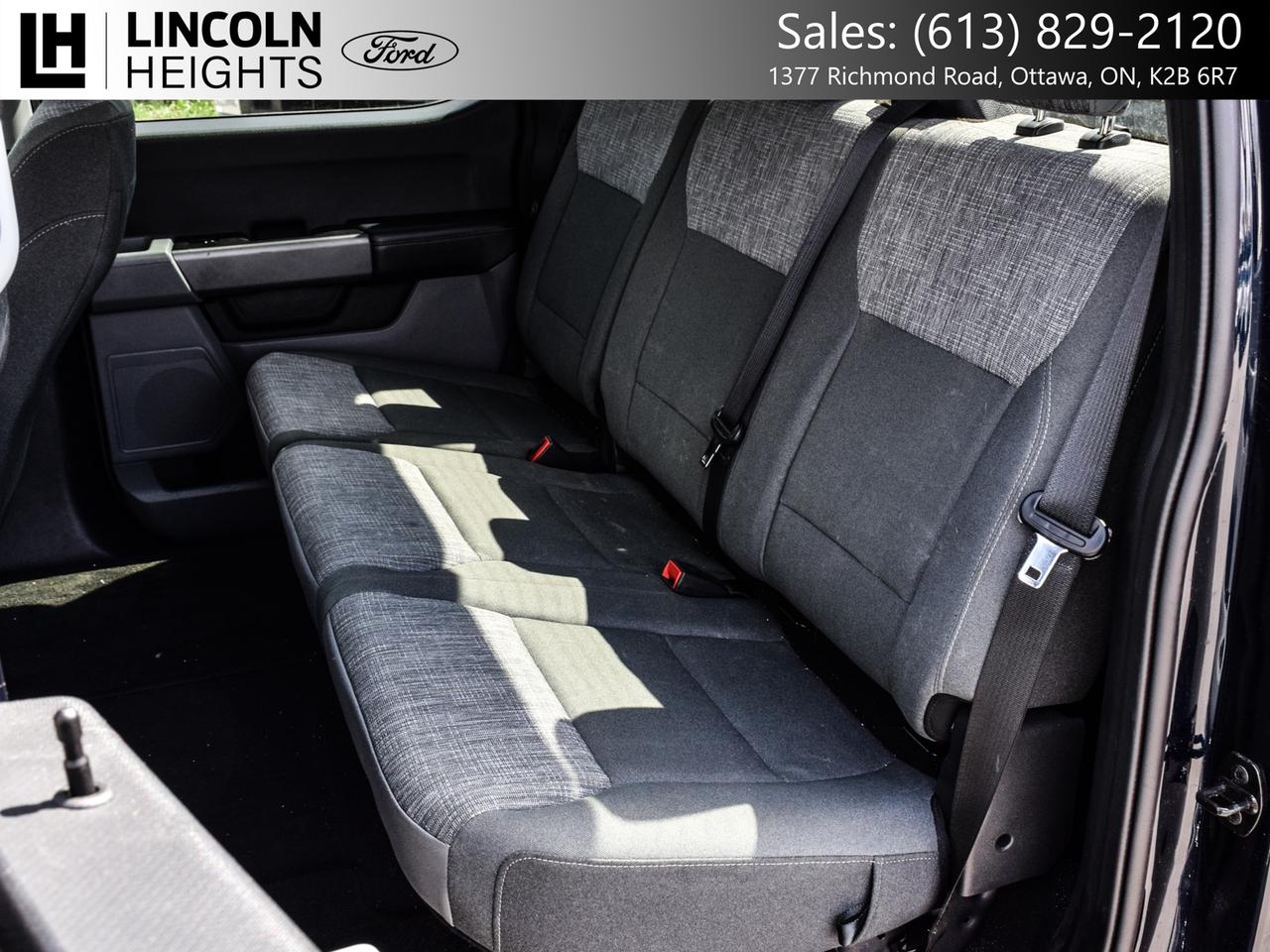 2023 Ford F-150  Photo