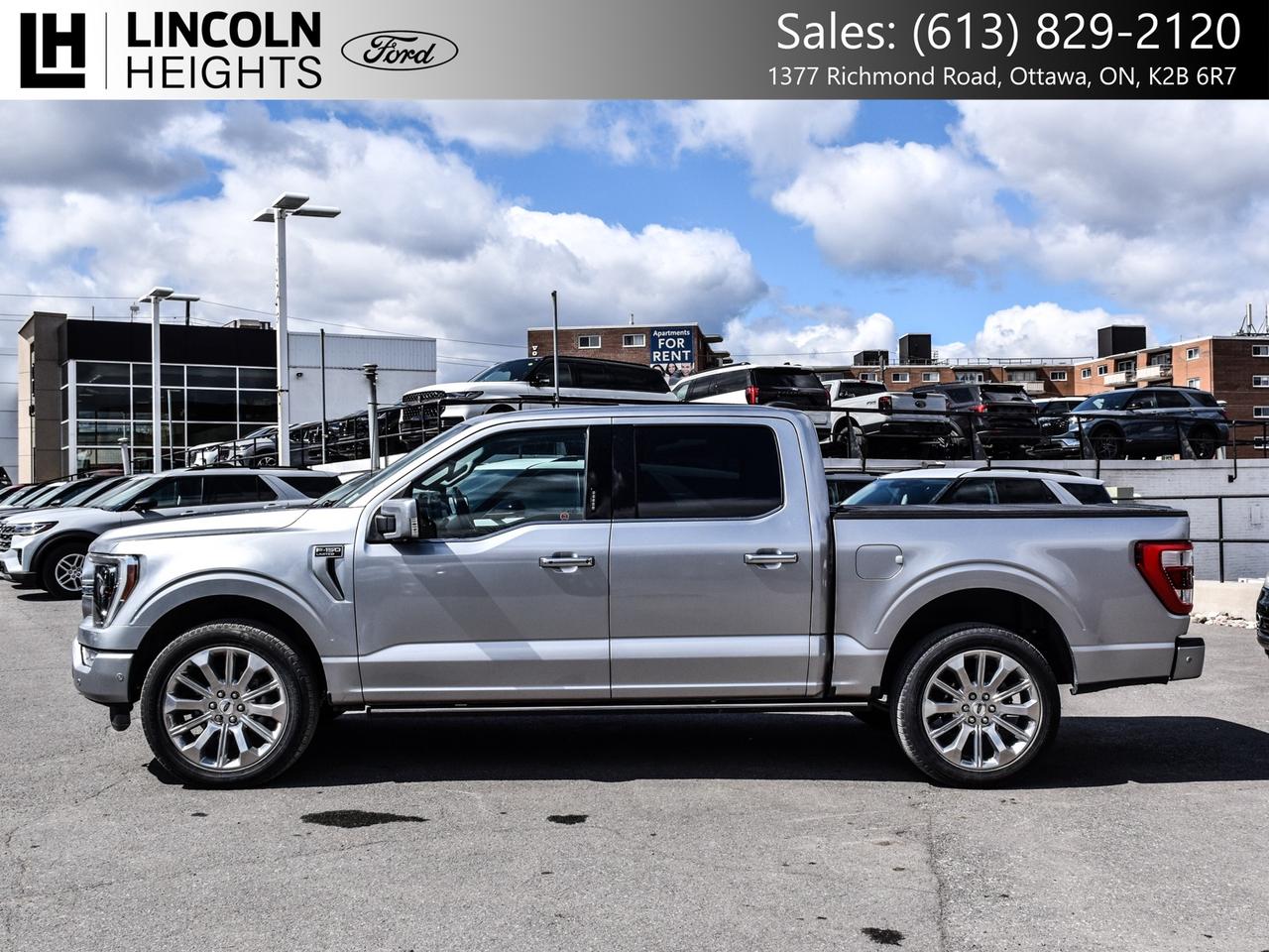 2022 Ford F-150  Photo