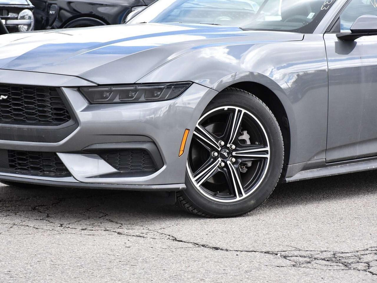2025 Ford Mustang ECOBOOST PREMIUM CONVERTIBLE   SUMMER READY Photo2