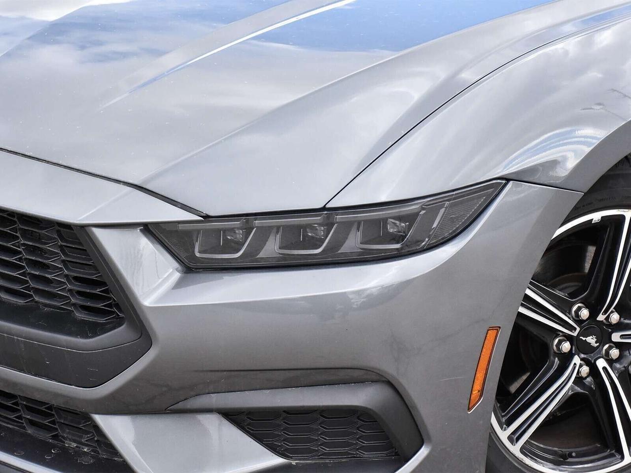 2025 Ford Mustang ECOBOOST PREMIUM CONVERTIBLE   SUMMER READY Photo3