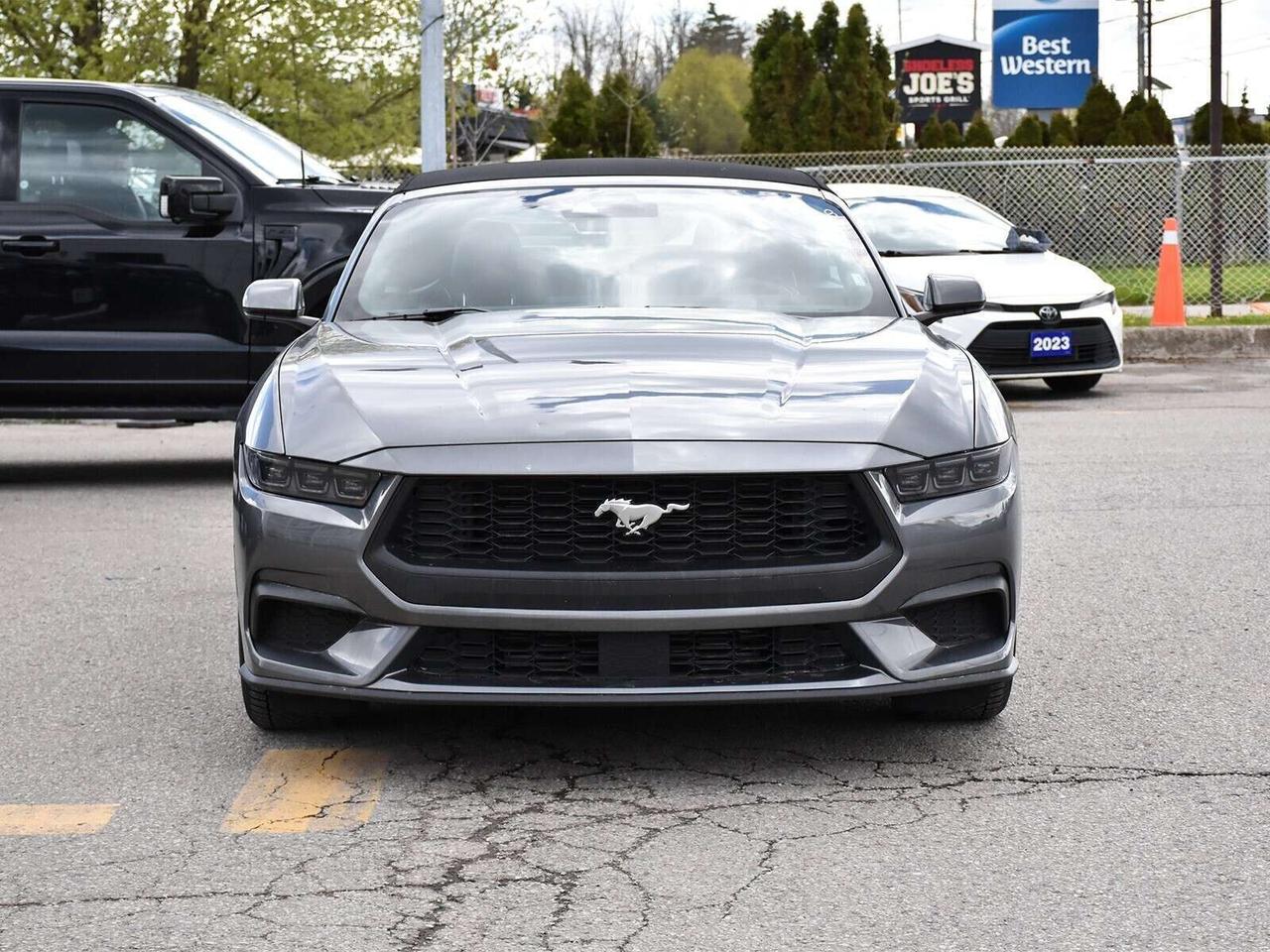 2025 Ford Mustang ECOBOOST PREMIUM CONVERTIBLE   SUMMER READY Photo