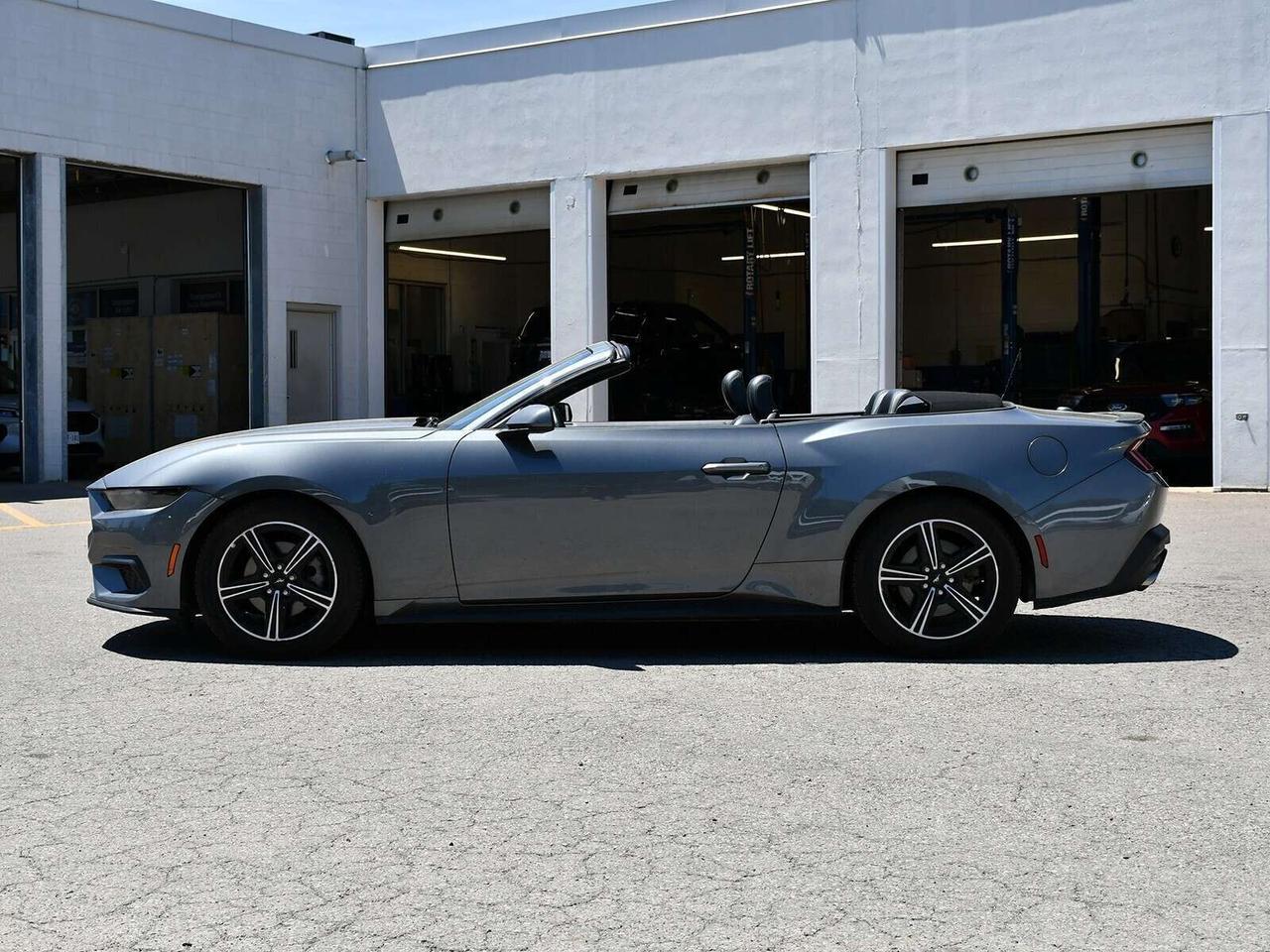 2025 Ford Mustang ECOBOOST PREMIUM CONVERTIBLE   SUMMER READY Photo