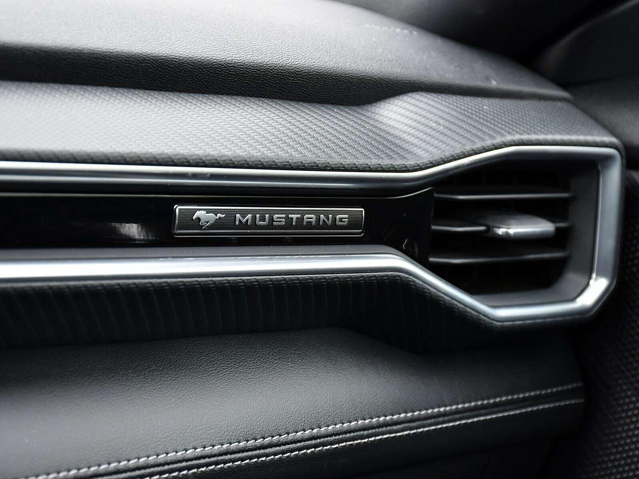 2025 Ford Mustang ECOBOOST PREMIUM CONVERTIBLE   SUMMER READY Photo
