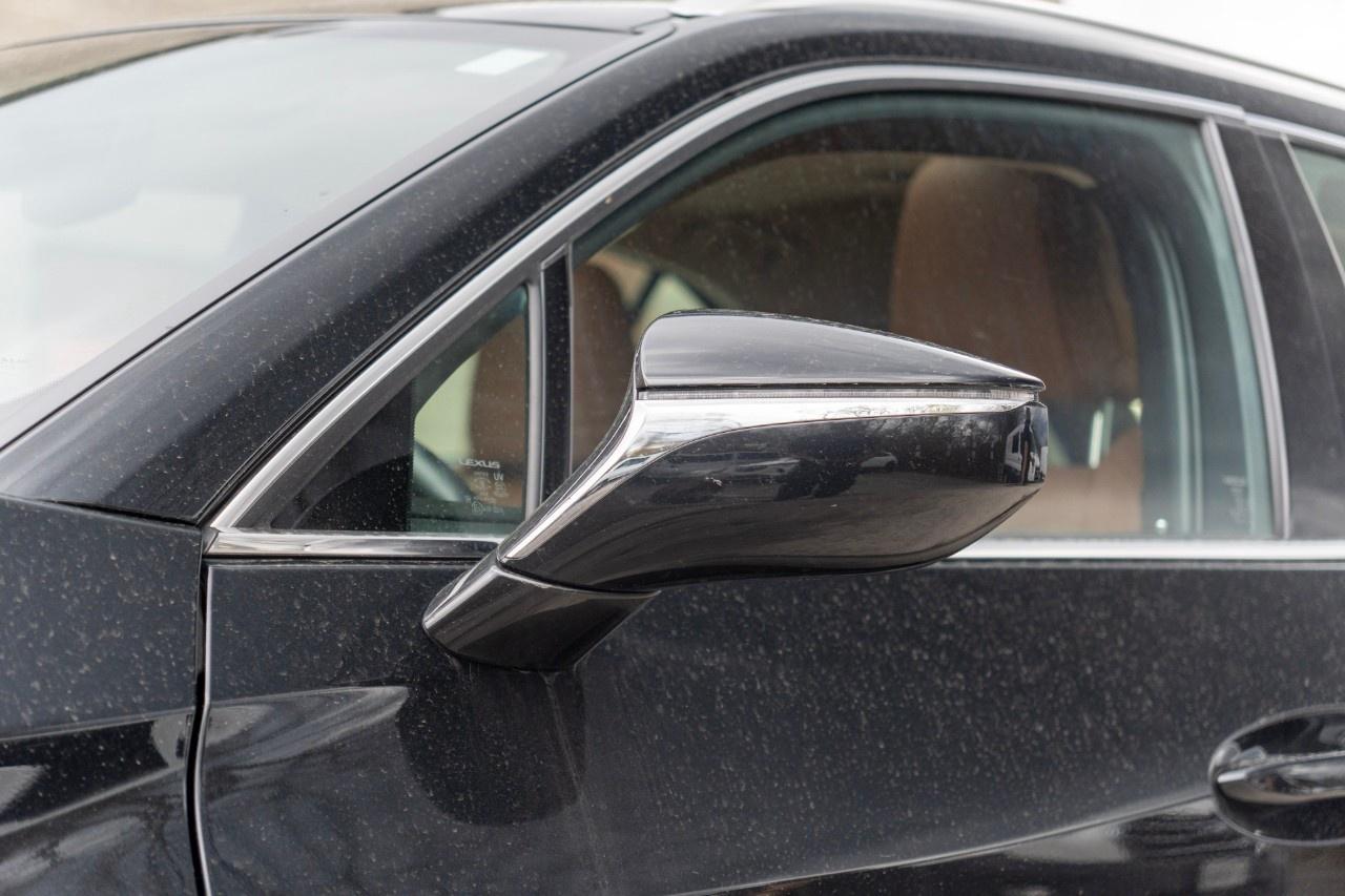 2020 Lexus UX UX 250h CVT Photo2