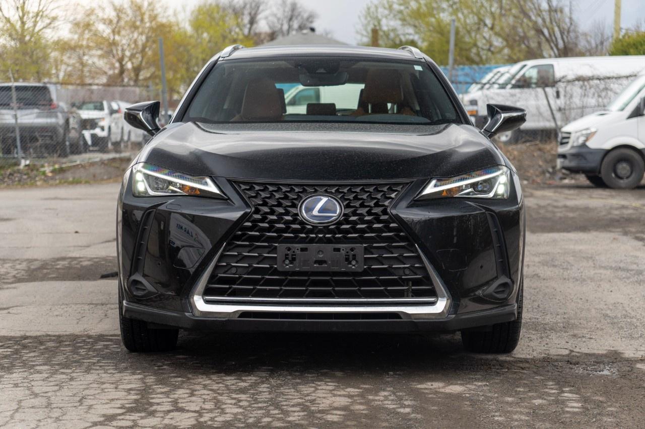 2020 Lexus UX UX 250h CVT Photo