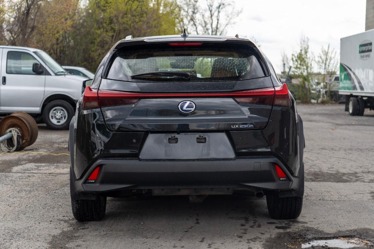 2020 Lexus UX UX 250h CVT Photo