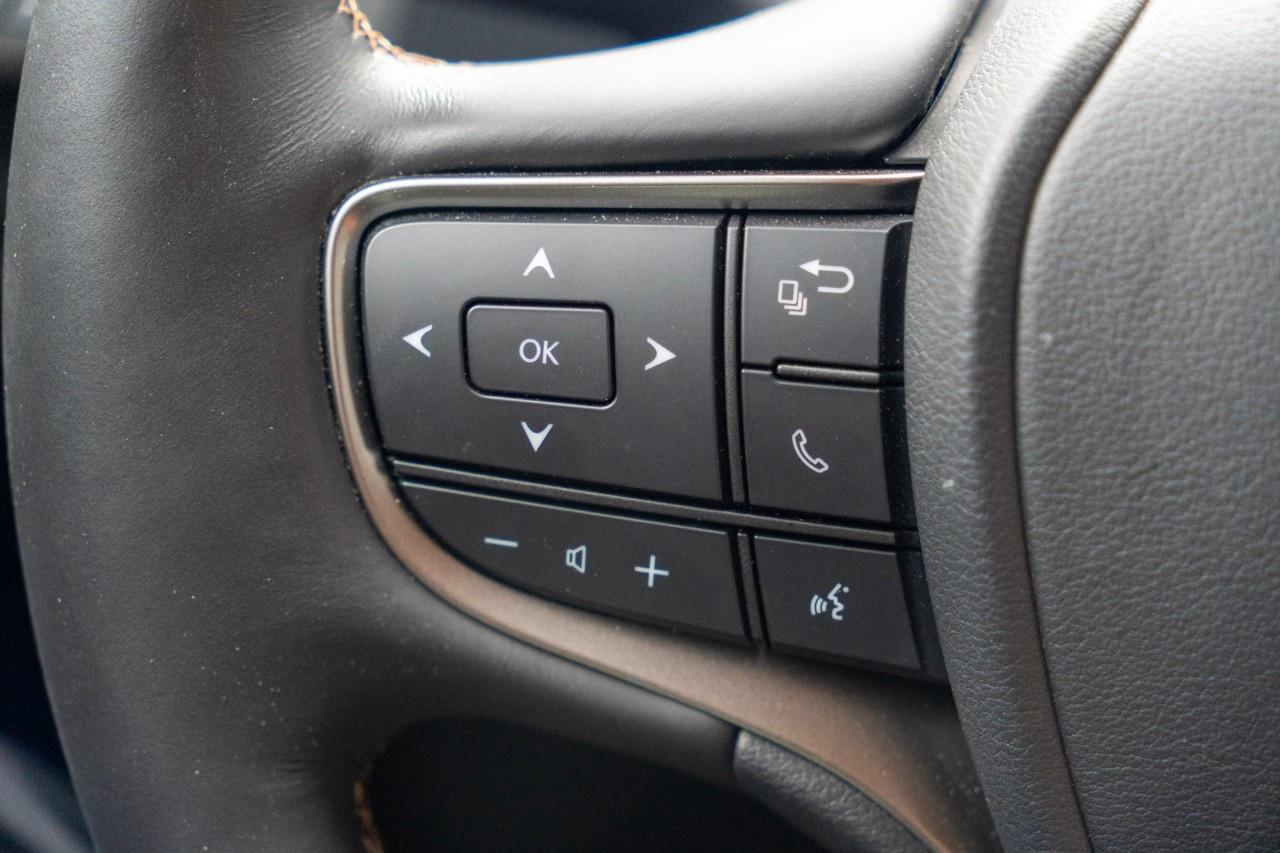 2020 Lexus UX UX 250h CVT Photo