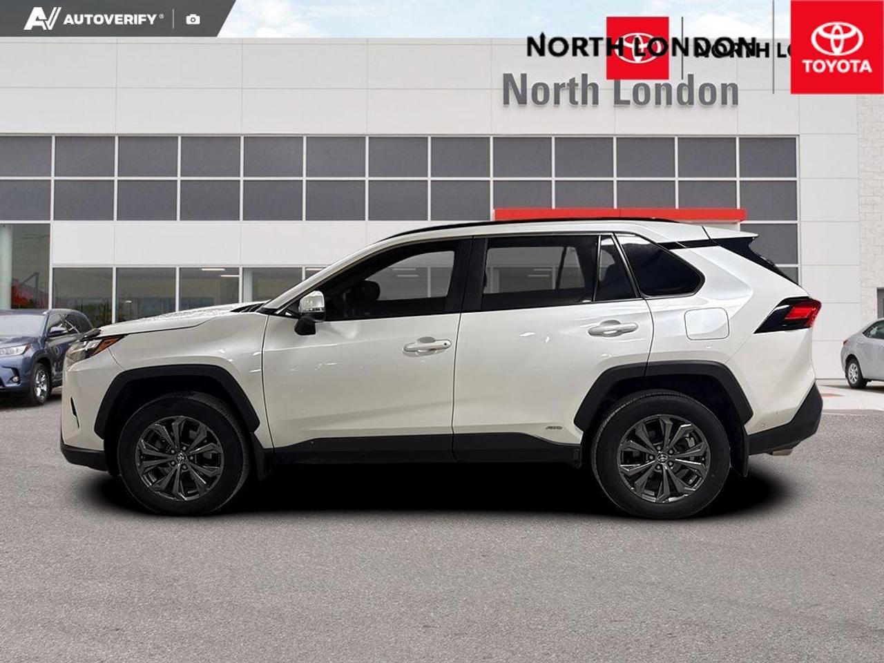2024 Toyota RAV4 Hybrid XLE 4dr All-Wheel Drive Photo