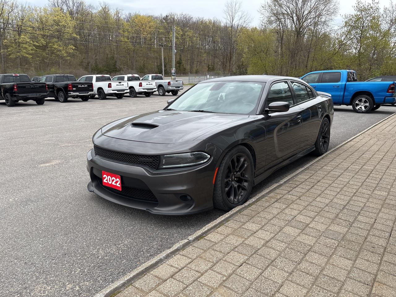 2022 Dodge Charger R/T  Photo