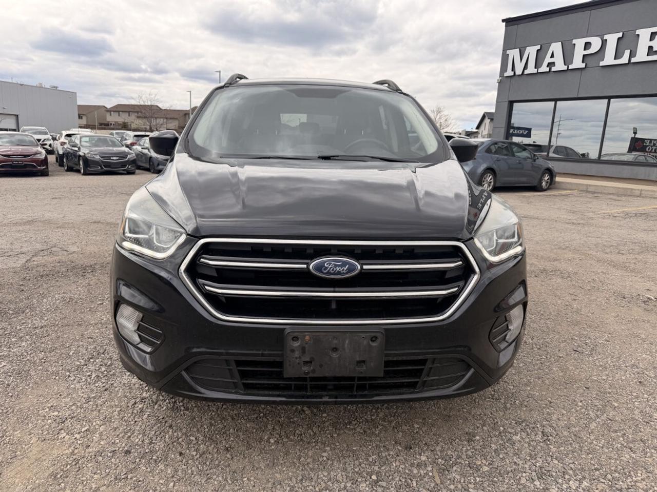 2017 Ford Escape SE   NAV   CAMERA   HTD SEATS Photo