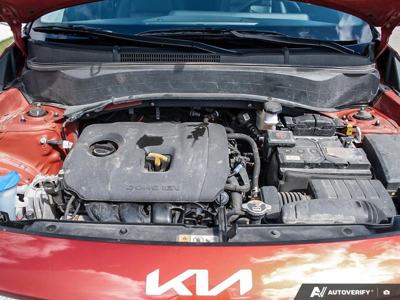 2024 Kia Seltos EX Photo