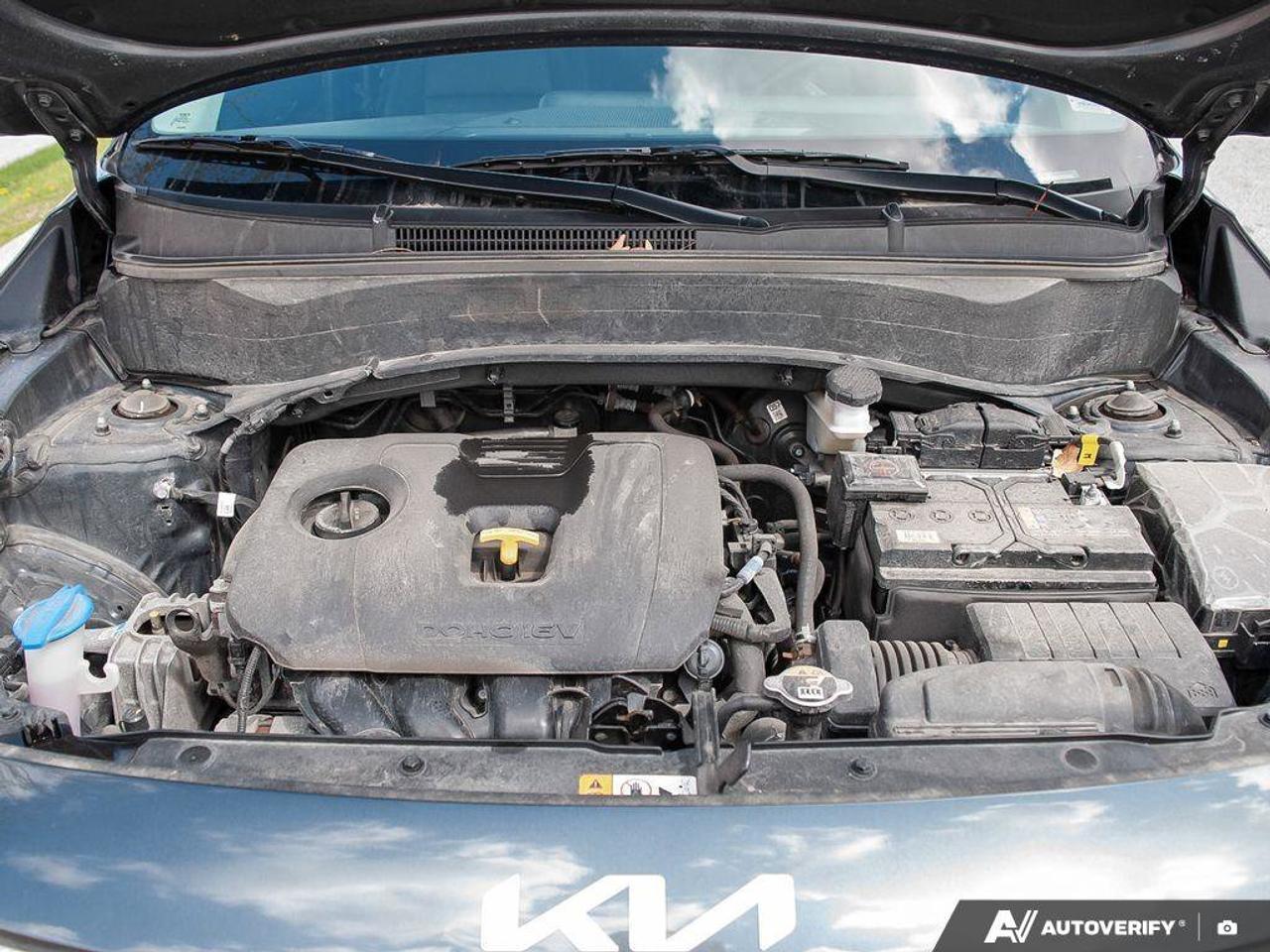 2024 Kia Seltos EX Photo