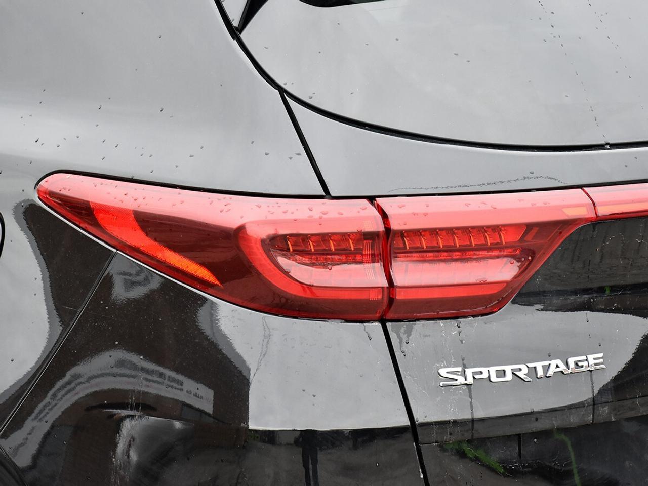 2021 Kia Sportage  Photo