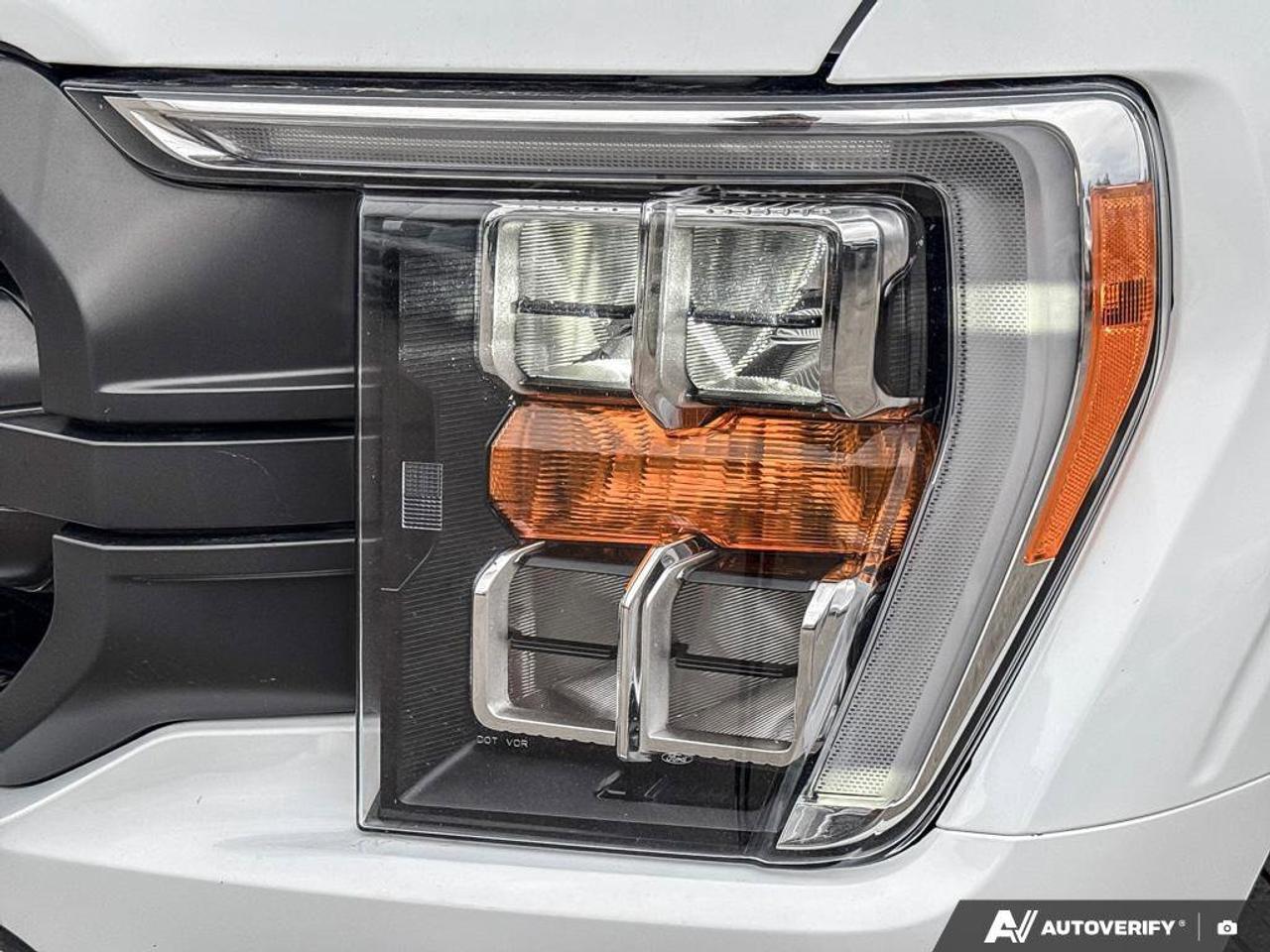2022 Ford F-150 XLT Photo