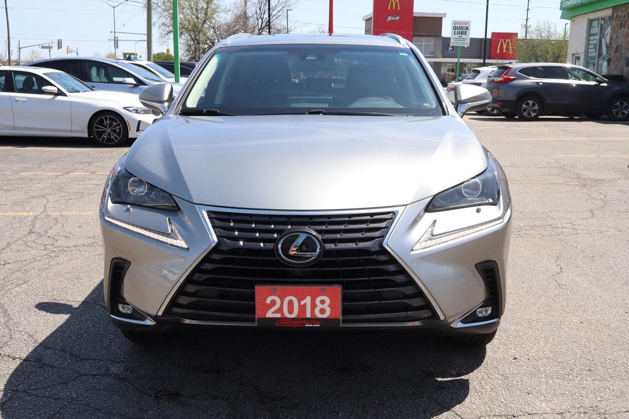 2018 Lexus NX 300 AWD   Premium   No Accident   Safety Certified Photo