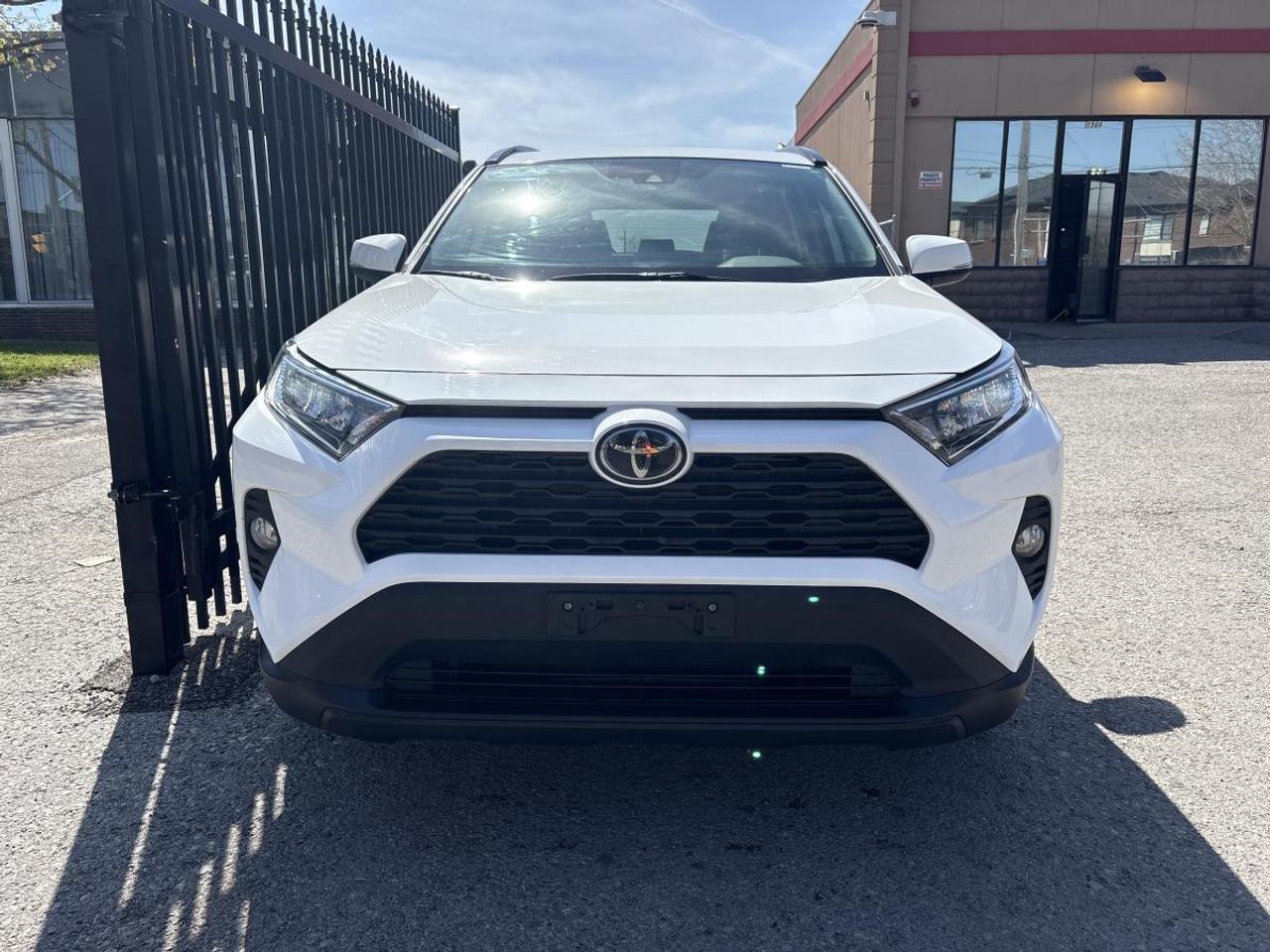 2020 Toyota RAV4 XLE AWD Photo