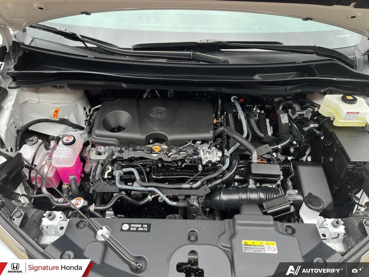 2026 Toyota Sienna XLE Photo