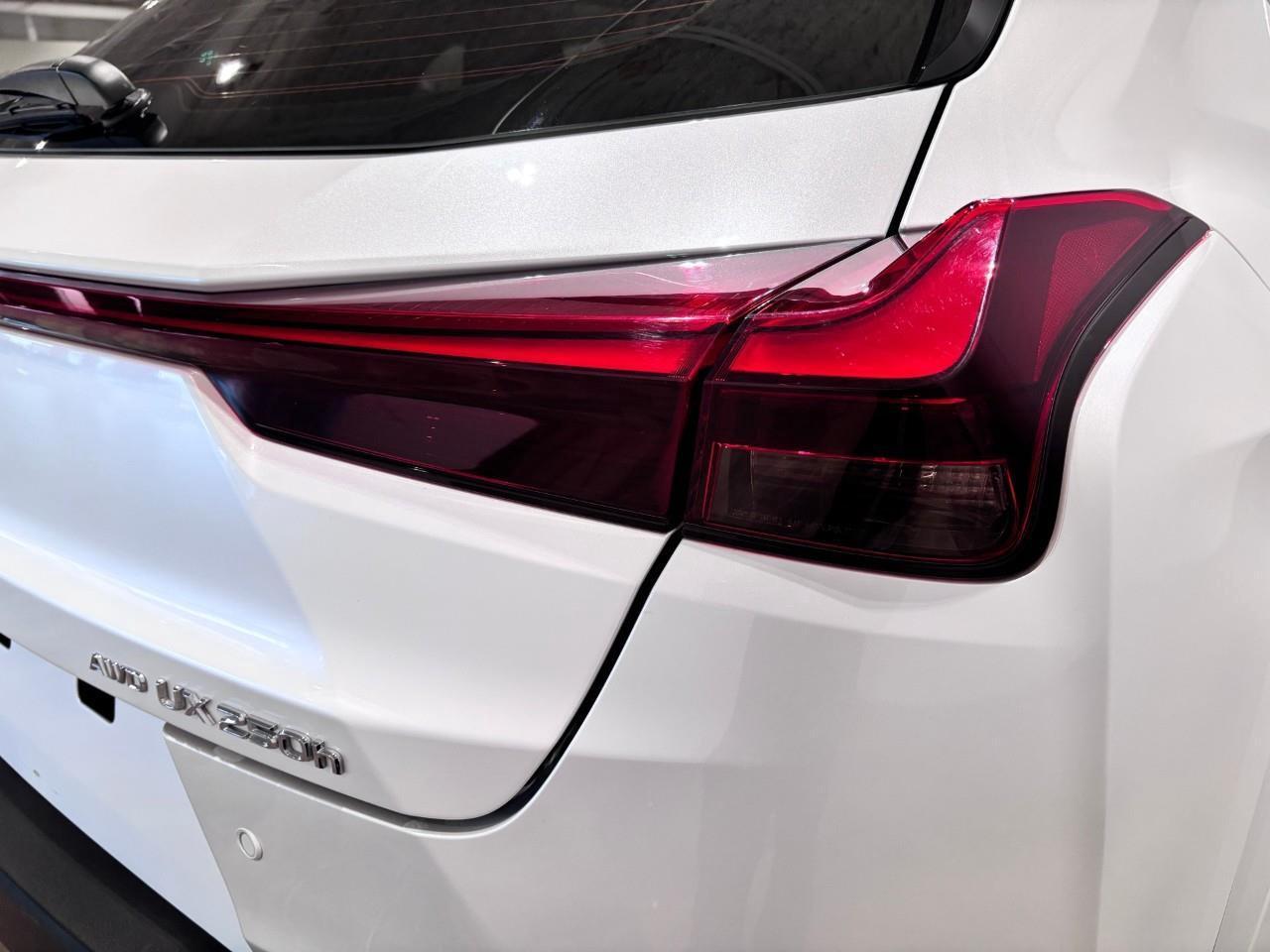 2023 Lexus UX 250H LUXURY PACKAGE - CARFAX CLEAN Photo