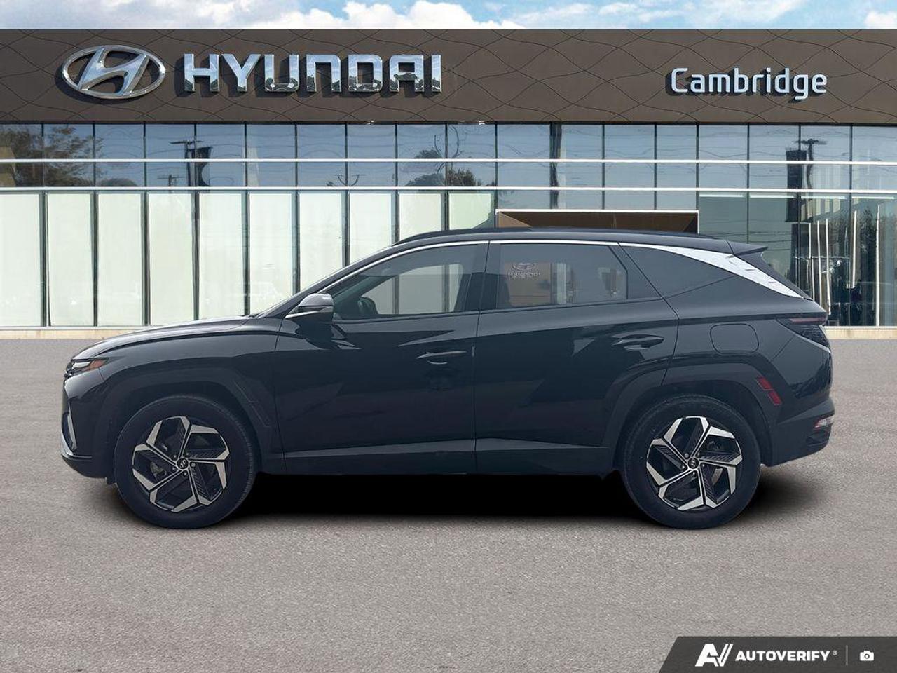 2024 Hyundai Tucson Hybrid Hybrid Luxury   NO ACCIDENTS   BOSE   6.3L/100KM Photo3
