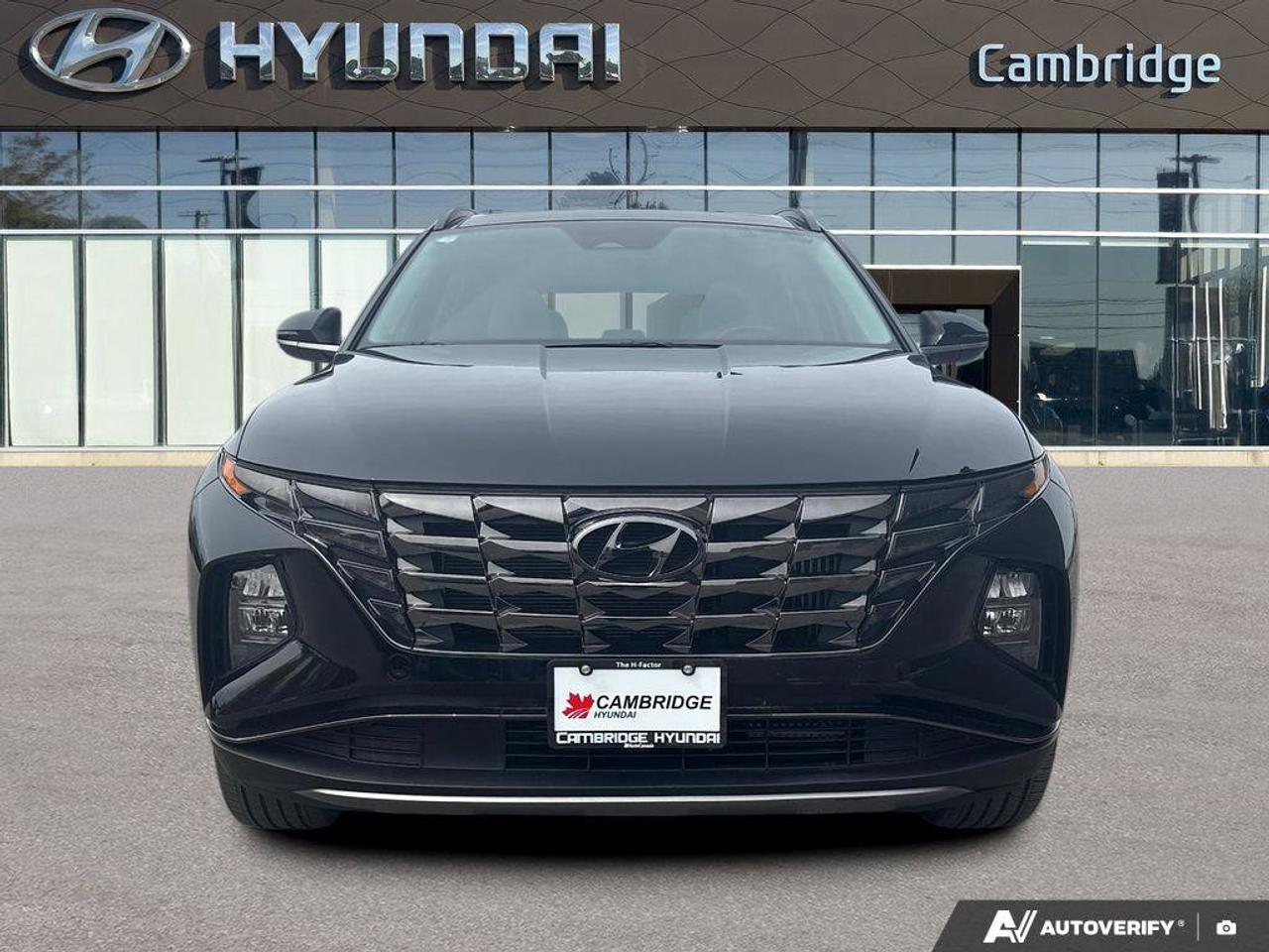 2024 Hyundai Tucson Hybrid Hybrid Luxury   NO ACCIDENTS   BOSE   6.3L/100KM Photo