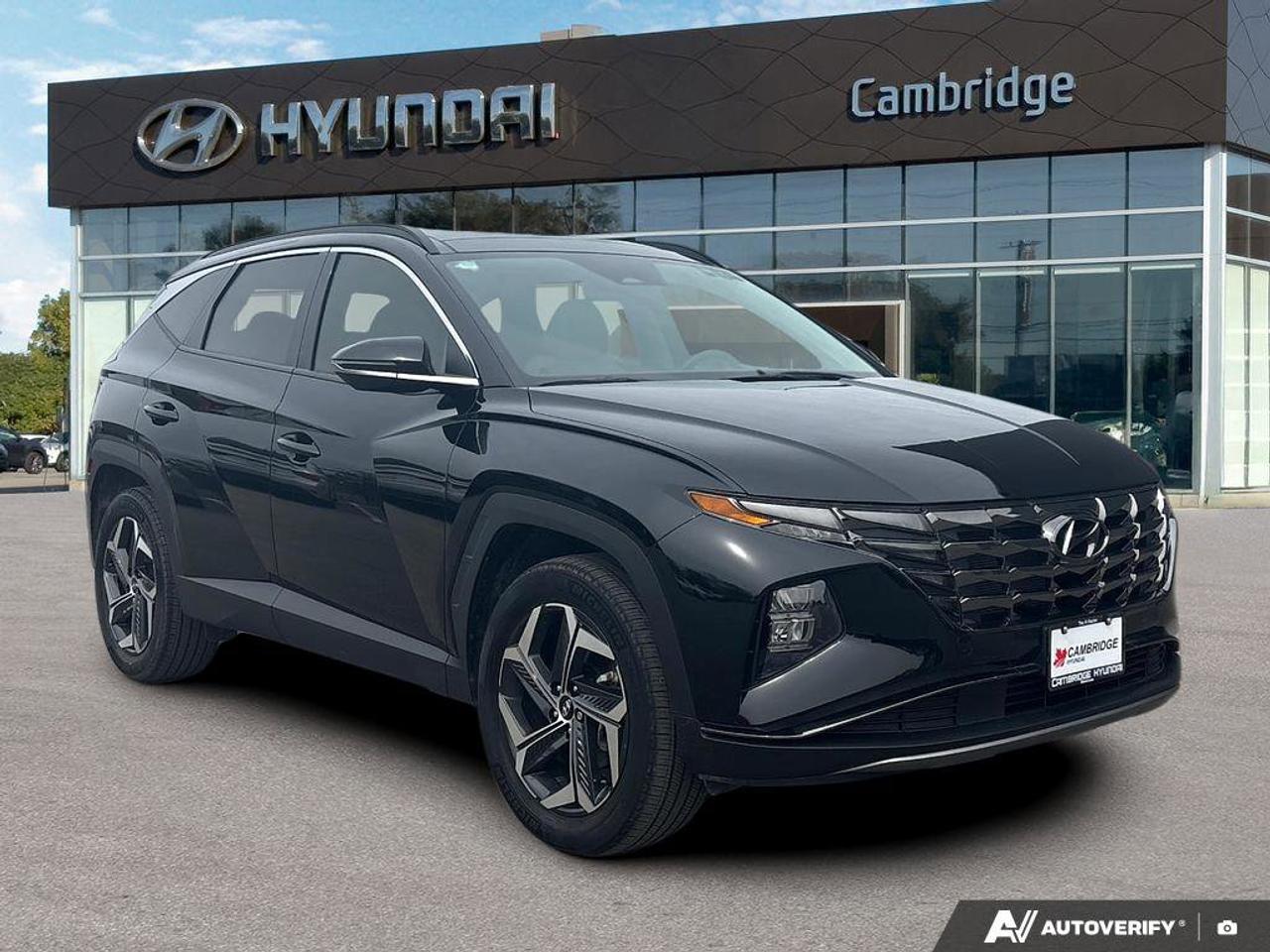 2024 Hyundai Tucson Hybrid Hybrid Luxury   NO ACCIDENTS   BOSE   6.3L/100KM Photo