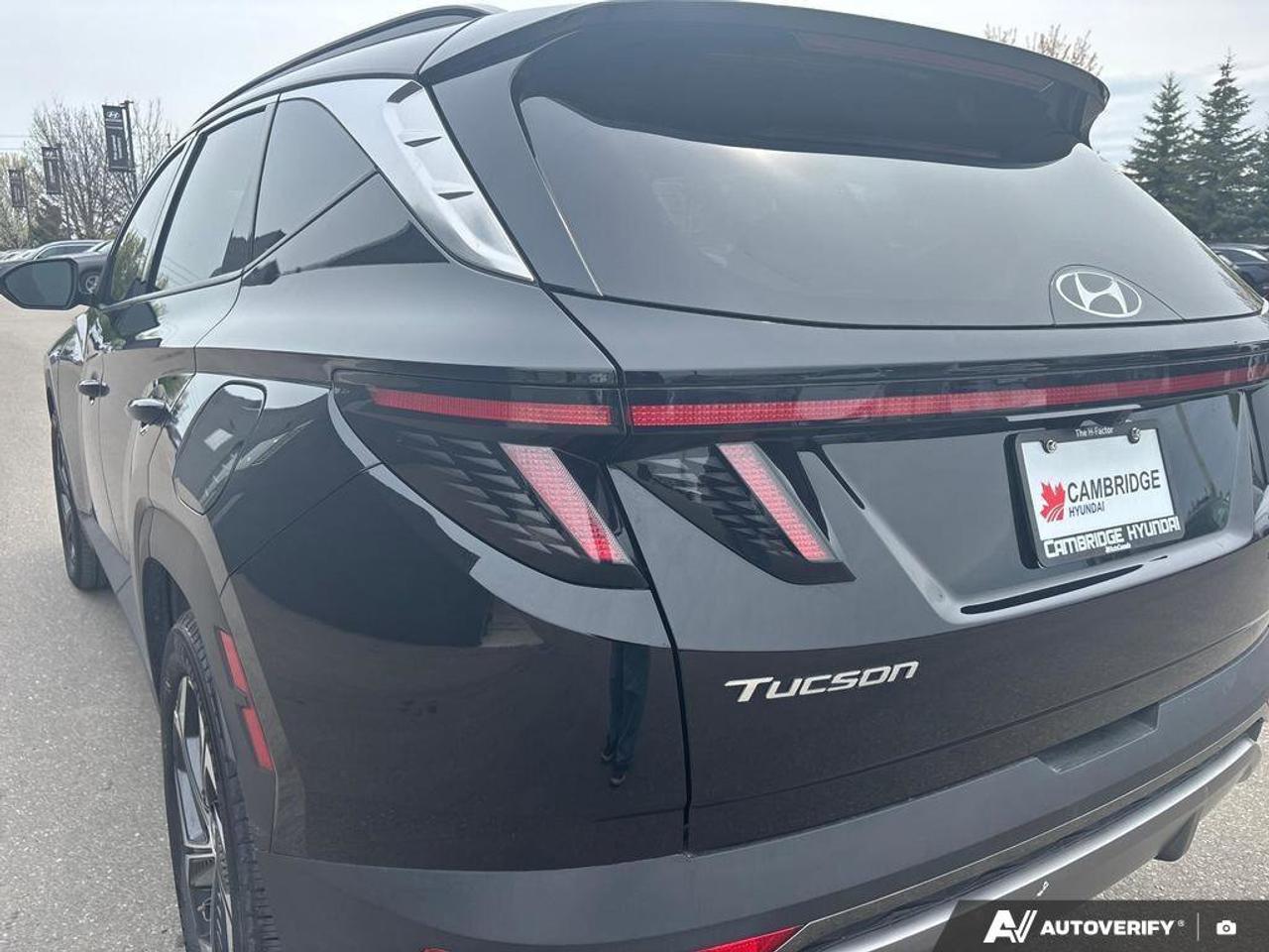 2024 Hyundai Tucson Hybrid Hybrid Luxury   NO ACCIDENTS   BOSE   6.3L/100KM Photo