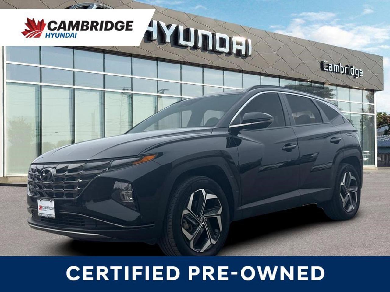 2024 Hyundai Tucson Hybrid Hybrid Luxury   NO ACCIDENTS   BOSE   6.3L/100KM Photo