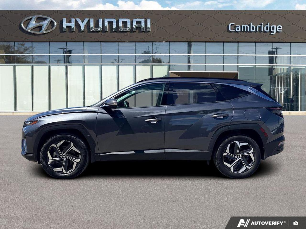 2024 Hyundai Tucson Hybrid Hybrid Luxury   NO ACCIDENTS   BOSE   6.3L/100KM Photo