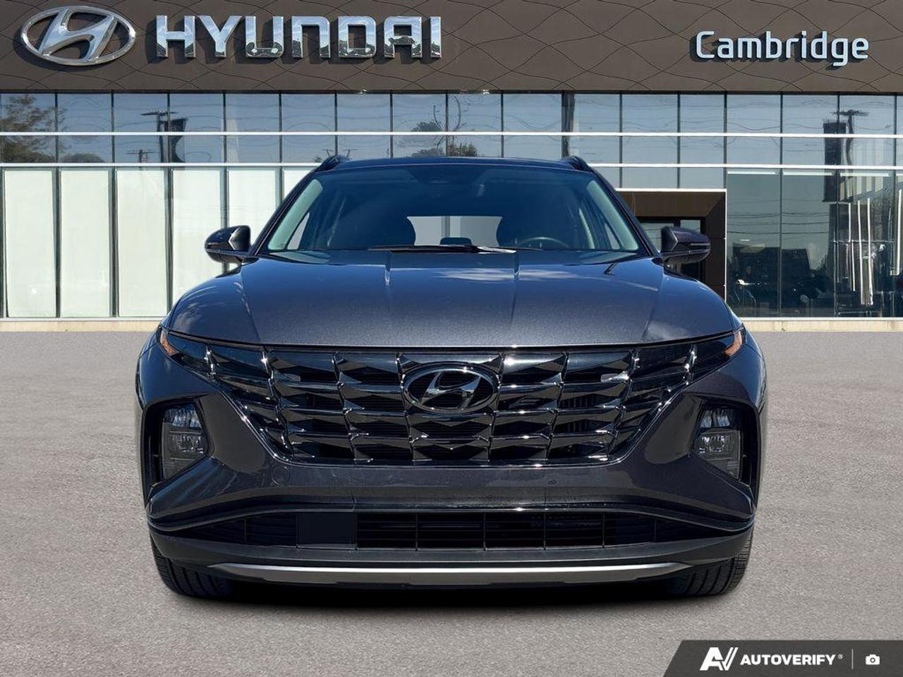 2024 Hyundai Tucson Hybrid Hybrid Luxury   NO ACCIDENTS   BOSE   6.3L/100KM Photo