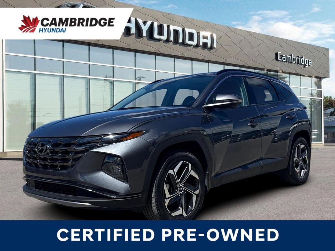 2024 Hyundai Tucson Hybrid Hybrid Luxury   NO ACCIDENTS   BOSE   6.3L/100KM Photo0