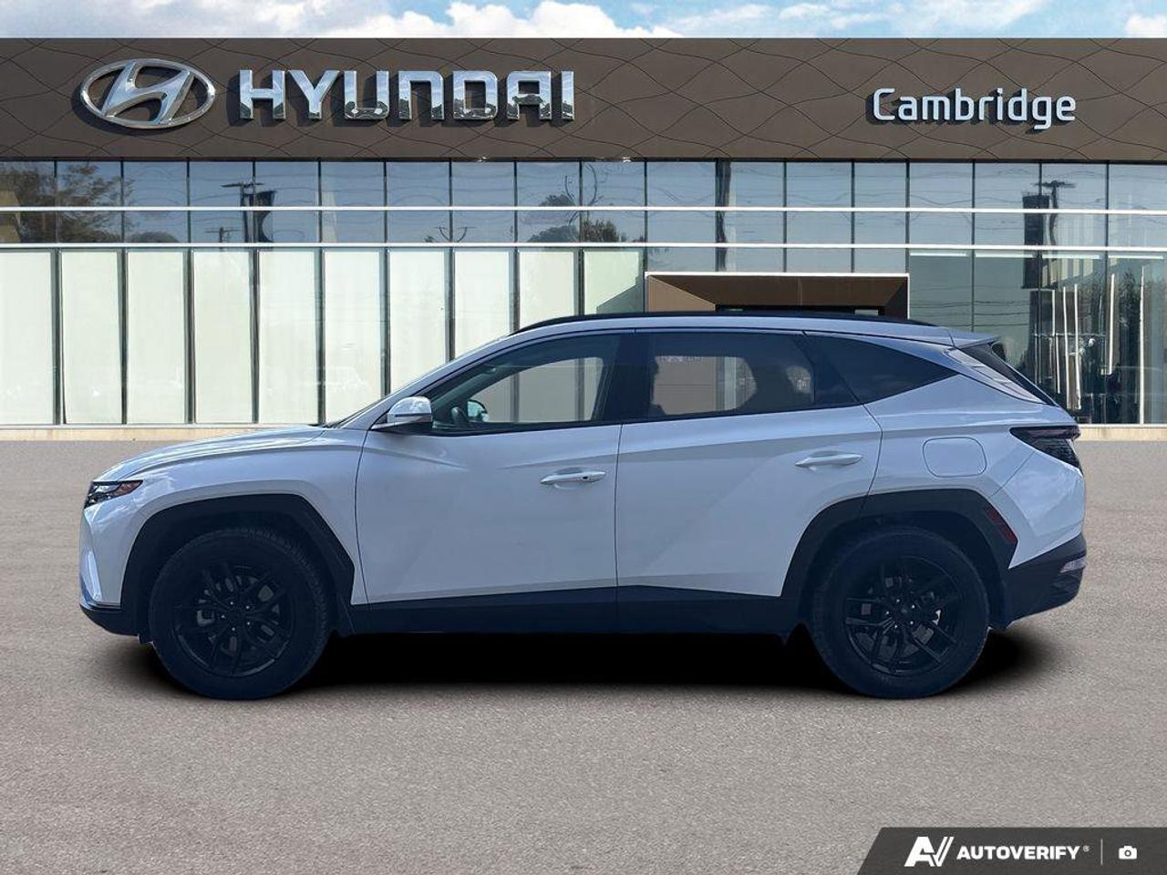2024 Hyundai Tucson Hybrid Hybrid Luxury   NO ACCIDENTS ONE OWNER   6.3L/100K Photo