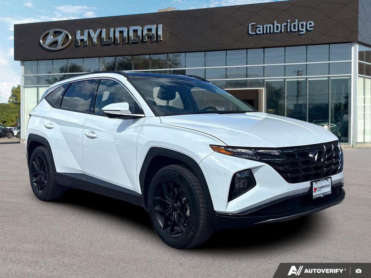 2024 Hyundai Tucson Hybrid Hybrid Luxury   NO ACCIDENTS ONE OWNER   6.3L/100K Photo