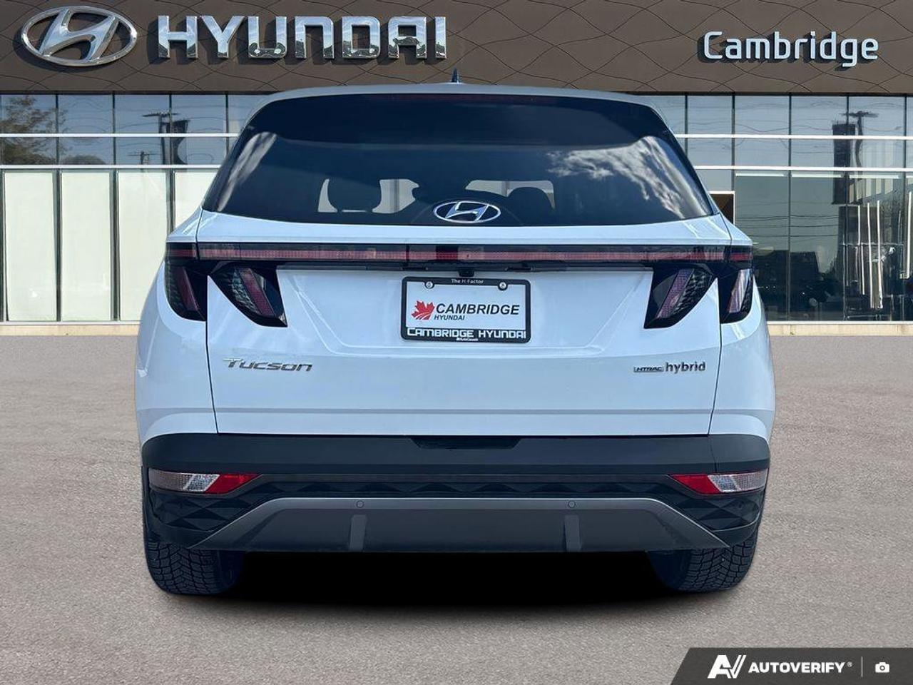 2024 Hyundai Tucson Hybrid Hybrid Luxury   NO ACCIDENTS ONE OWNER   6.3L/100K Photo
