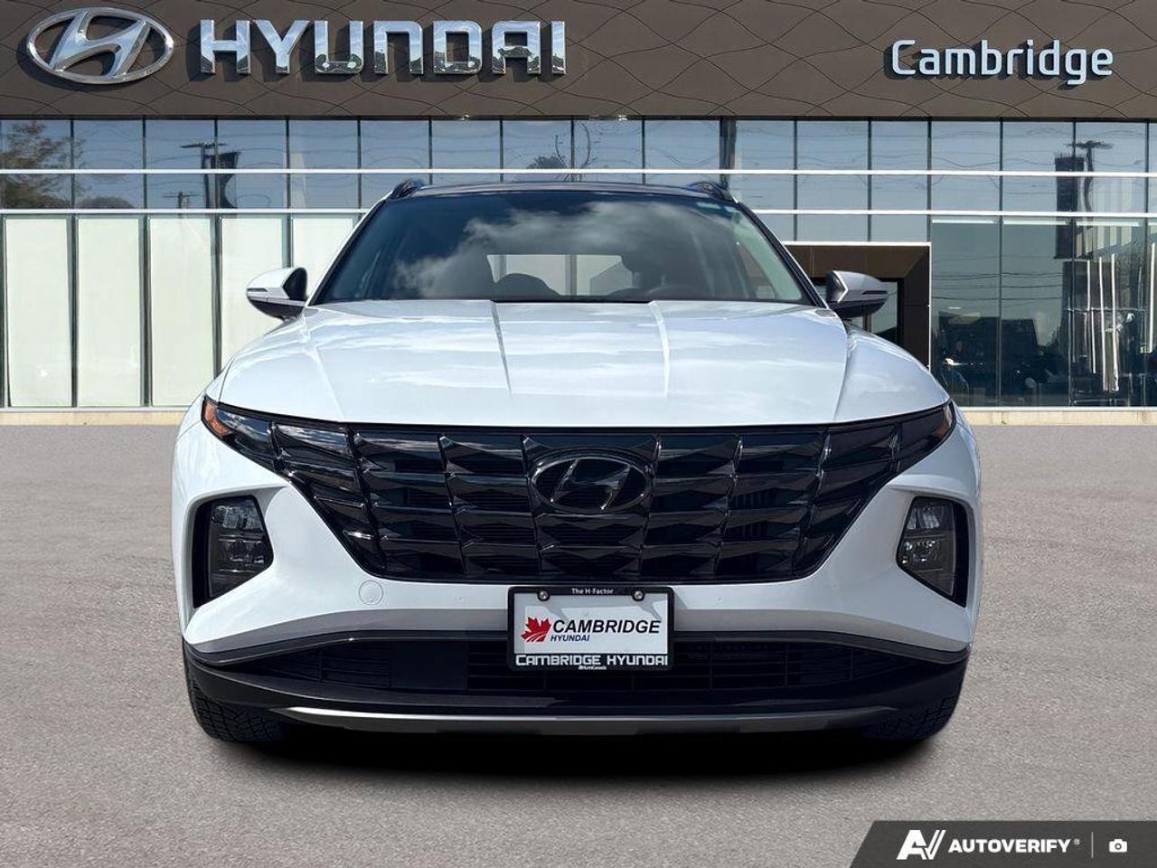 2024 Hyundai Tucson Hybrid Hybrid Luxury   NO ACCIDENTS ONE OWNER   6.3L/100K Photo