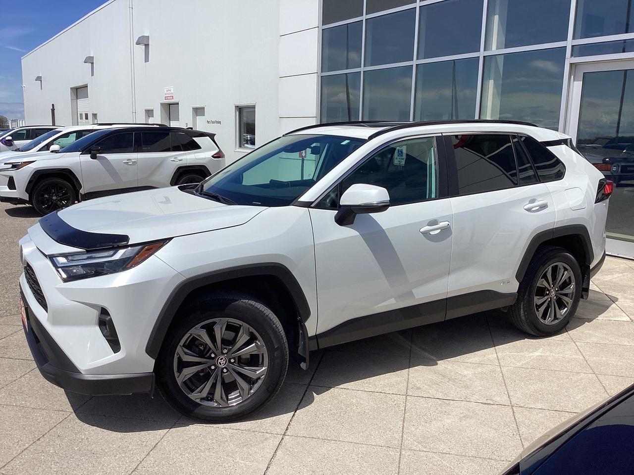 2023 Toyota RAV4 Hybrid XLE PREMIUM AWD Photo