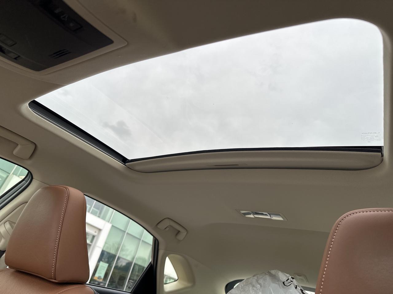 2016 Lexus NX 200t AWD 4DR Photo