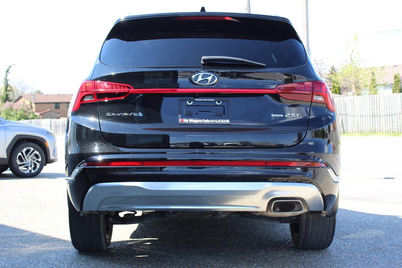 2023 Hyundai Santa Fe Ultimate Calligraphy Photo3
