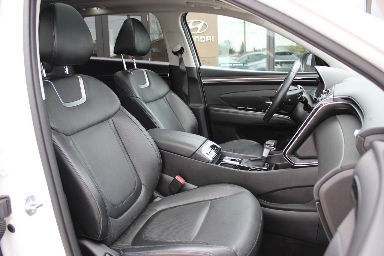 2023 Hyundai Tucson Urban Edition Photo
