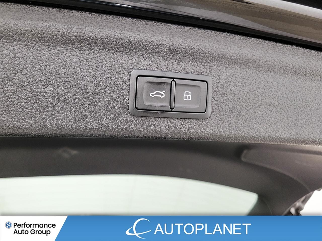 2025 Audi Q3 Progressiv 45 Quattro, S-Line, Back Up Cam! Photo