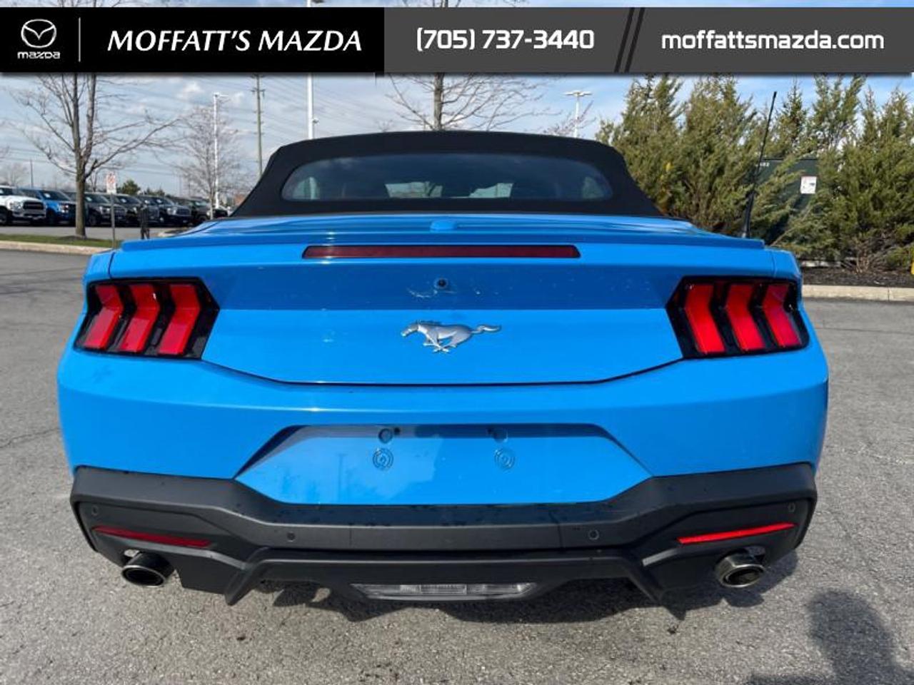 2025 Ford Mustang EcoBoost Photo