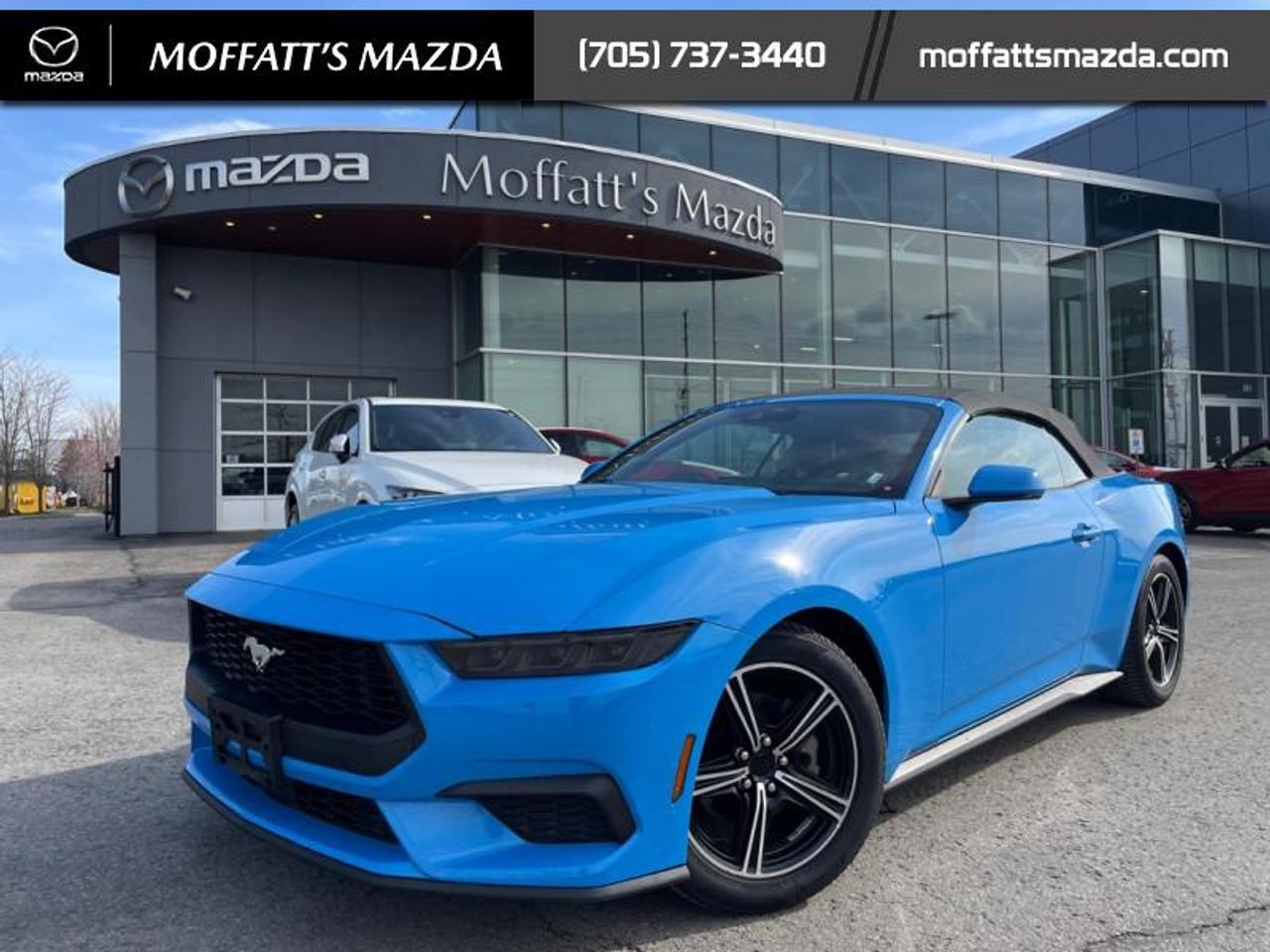 2025 Ford Mustang EcoBoost Photo0
