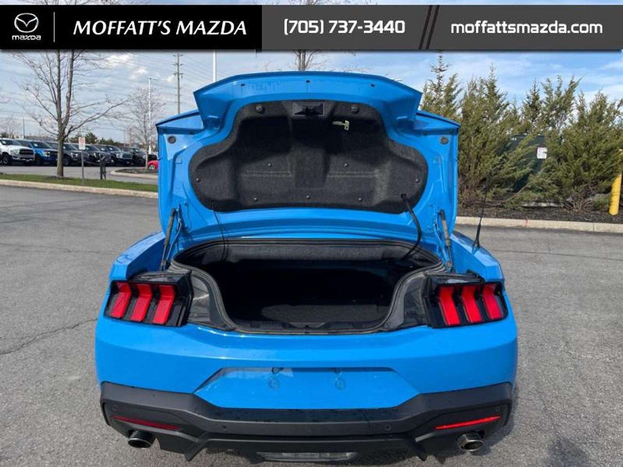 2025 Ford Mustang EcoBoost Photo