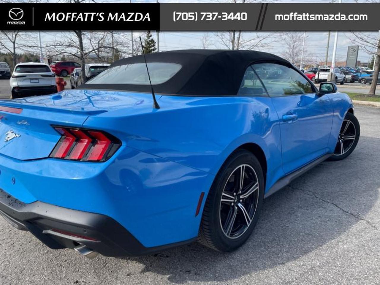 2025 Ford Mustang EcoBoost Photo