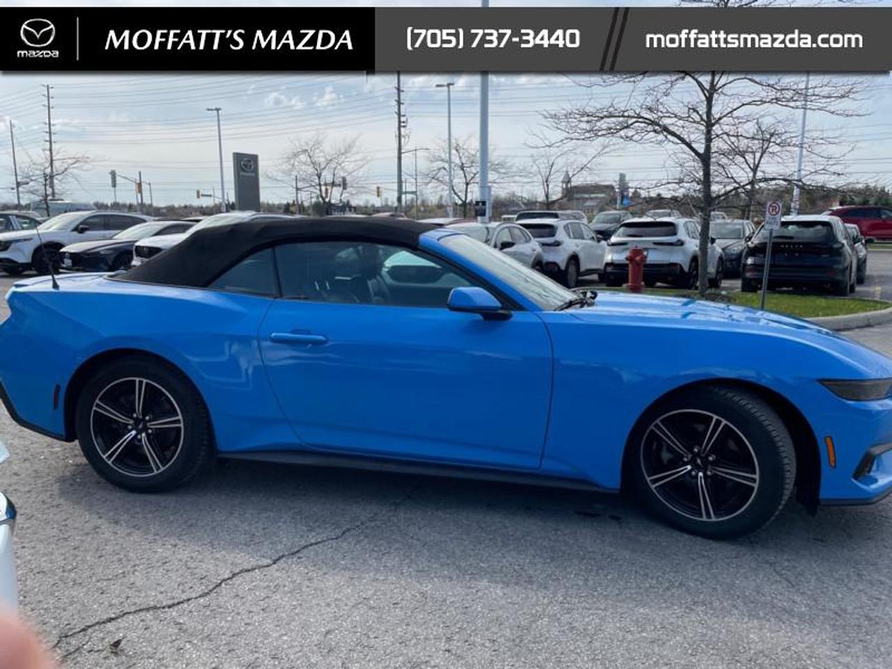 2025 Ford Mustang EcoBoost Photo