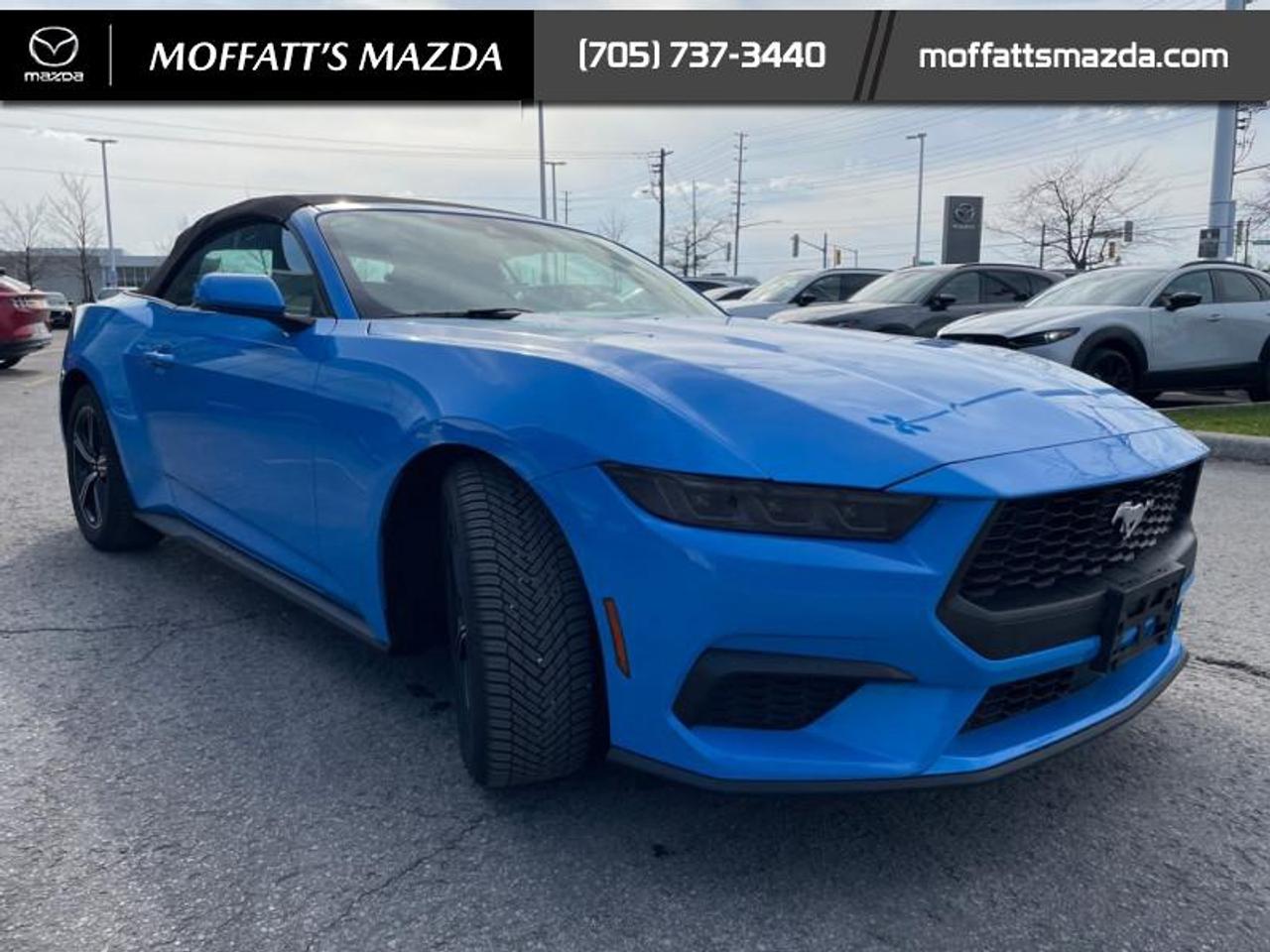 2025 Ford Mustang EcoBoost Photo