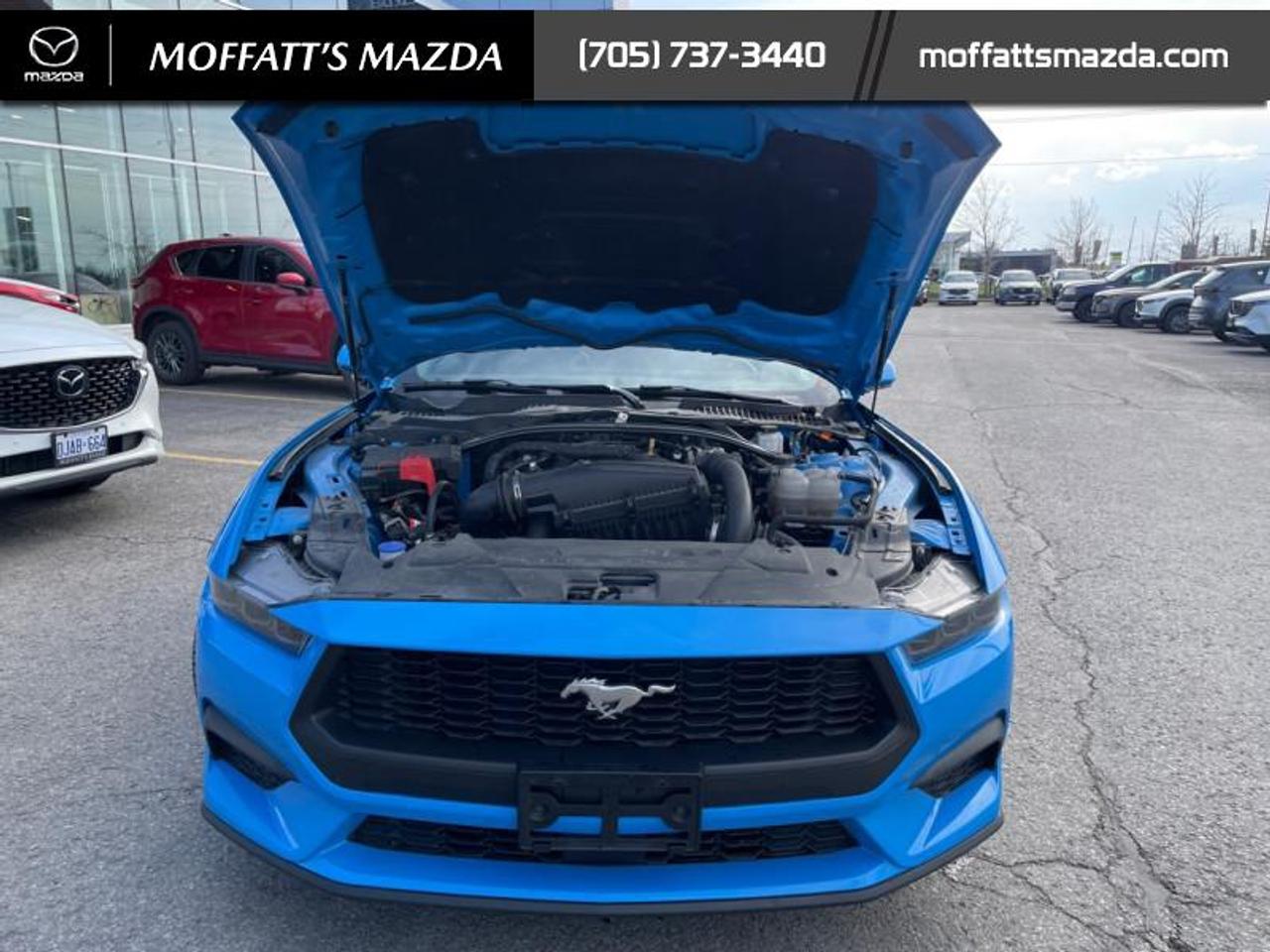 2025 Ford Mustang EcoBoost Photo