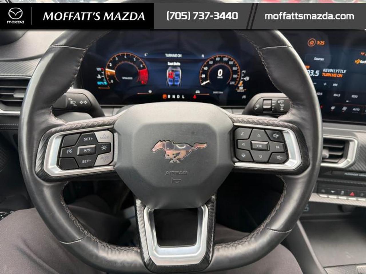 2025 Ford Mustang EcoBoost Photo