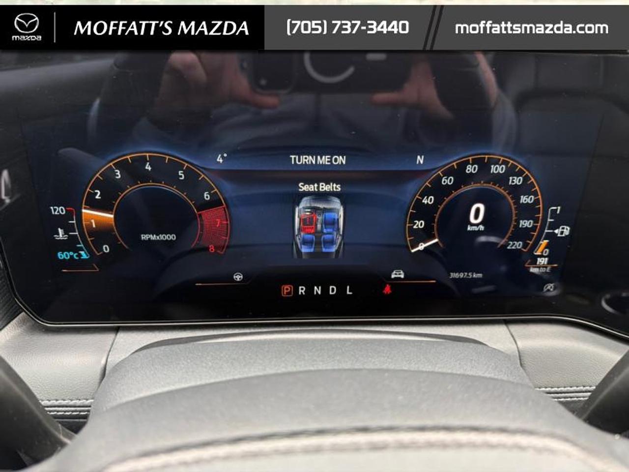 2025 Ford Mustang EcoBoost Photo