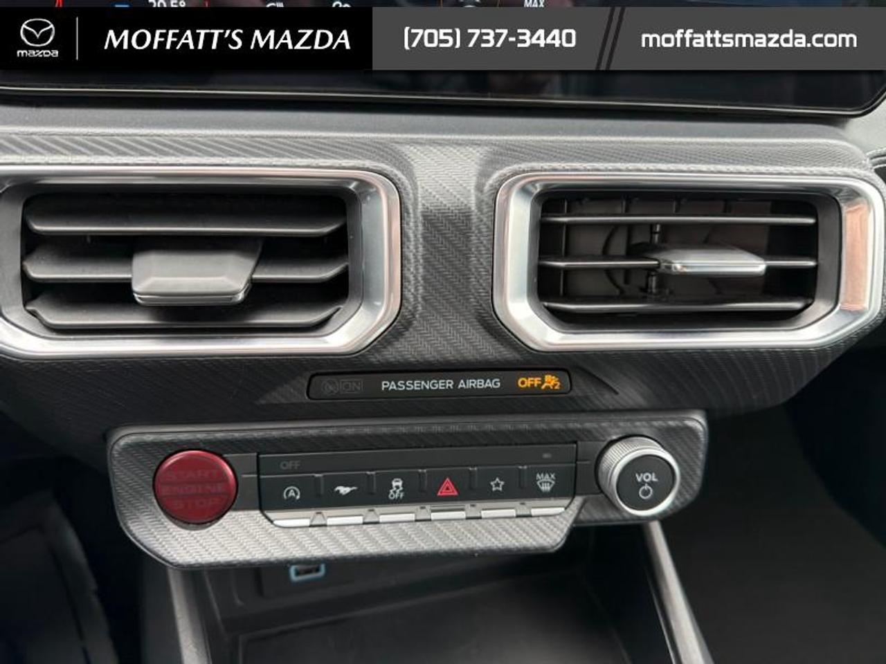 2025 Ford Mustang EcoBoost Photo