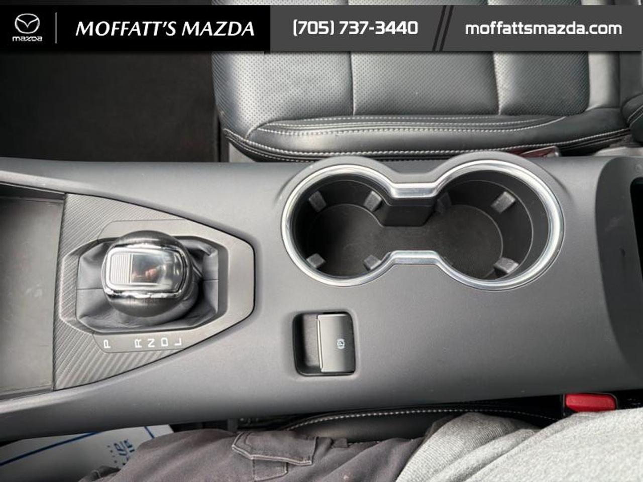 2025 Ford Mustang EcoBoost Photo